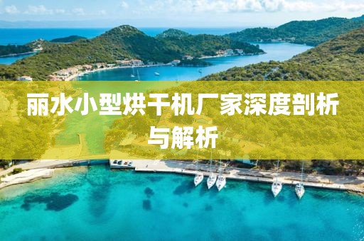 丽水小型烘干机厂家深度剖析与解析