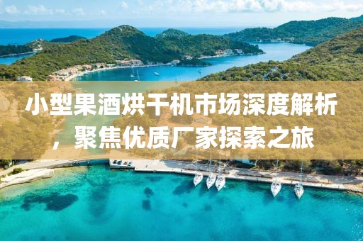 小型果酒烘干机市场深度解析，聚焦优质厂家探索之旅