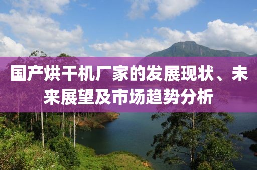 国产烘干机厂家的发展现状、未来展望及市场趋势分析