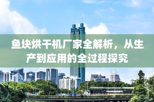 鱼块烘干机厂家全解析，从生产到应用的全过程探究