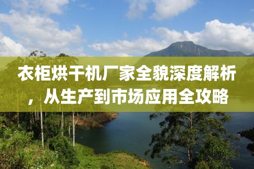 衣柜烘干机厂家全貌深度解析，从生产到市场应用全攻略