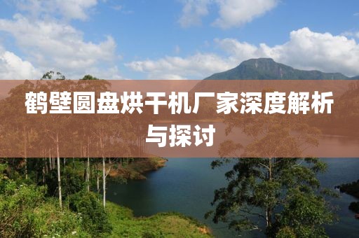 鹤壁圆盘烘干机厂家深度解析与探讨