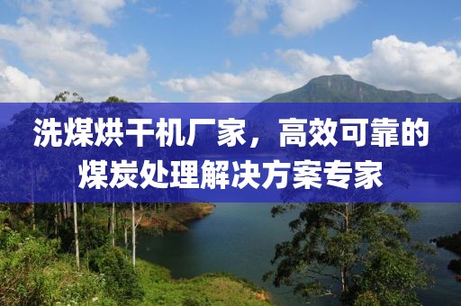 洗煤烘干机厂家，高效可靠的煤炭处理解决方案专家