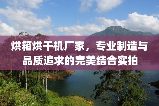 烘箱烘干机厂家，专业制造与品质追求的完美结合实拍