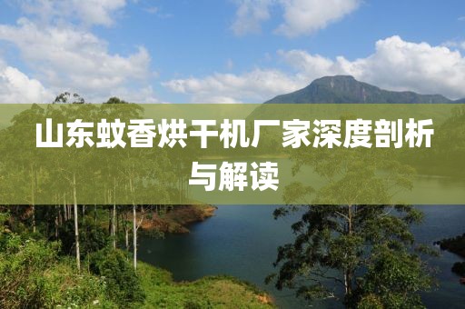 山东蚊香烘干机厂家深度剖析与解读