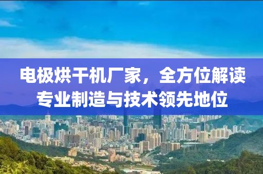 电极烘干机厂家，全方位解读专业制造与技术领先地位