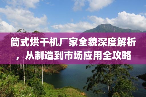 筒式烘干机厂家全貌深度解析，从制造到市场应用全攻略