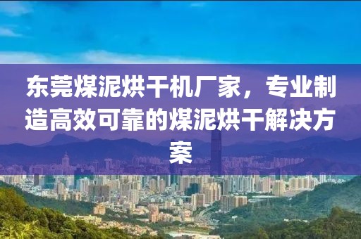 东莞煤泥烘干机厂家，专业制造高效可靠的煤泥烘干解决方案