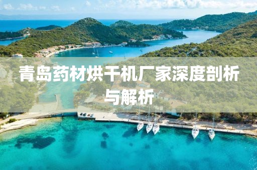 青岛药材烘干机厂家深度剖析与解析