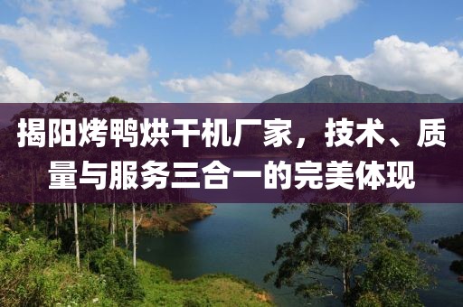 揭阳烤鸭烘干机厂家，技术、质量与服务三合一的完美体现