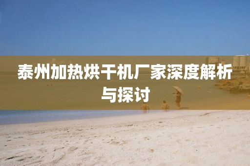 泰州加热烘干机厂家深度解析与探讨