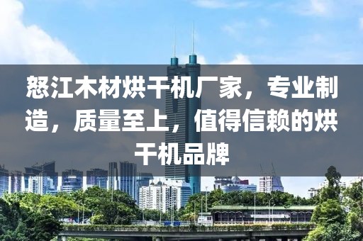 怒江木材烘干机厂家，专业制造，质量至上，值得信赖的烘干机品牌