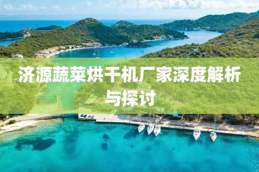 济源蔬菜烘干机厂家深度解析与探讨