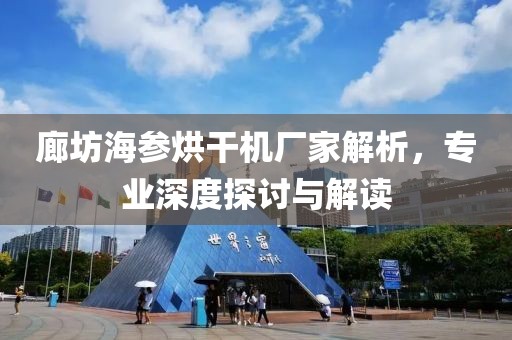 廊坊海参烘干机厂家解析，专业深度探讨与解读