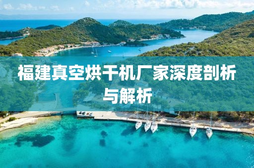 福建真空烘干机厂家深度剖析与解析