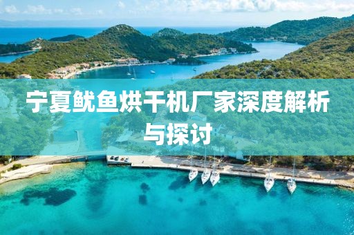 宁夏鱿鱼烘干机厂家深度解析与探讨