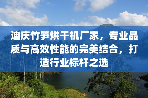 迪庆竹笋烘干机厂家，专业品质与高效性能的完美结合，打造行业标杆之选