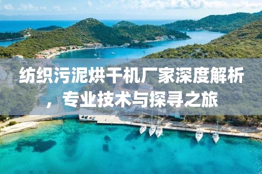 纺织污泥烘干机厂家深度解析，专业技术与探寻之旅