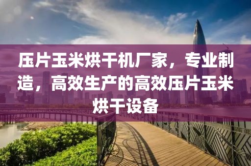 压片玉米烘干机厂家，专业制造，高效生产的高效压片玉米烘干设备