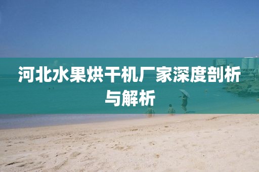 河北水果烘干机厂家深度剖析与解析