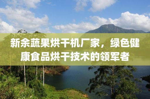 新余蔬果烘干机厂家，绿色健康食品烘干技术的领军者