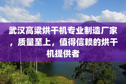 武汉高粱烘干机专业制造厂家，质量至上，值得信赖的烘干机提供者