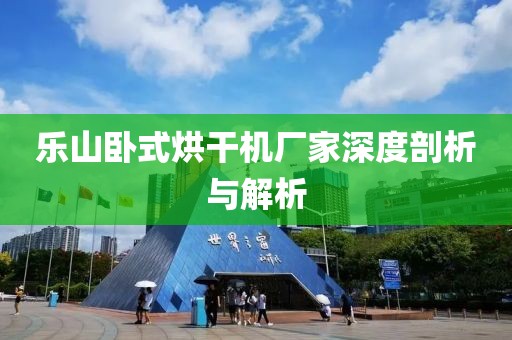 乐山卧式烘干机厂家深度剖析与解析