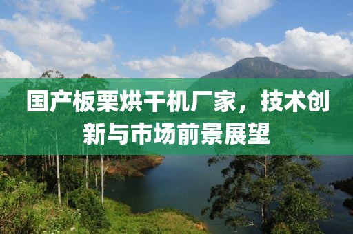 国产板栗烘干机厂家，技术创新与市场前景展望