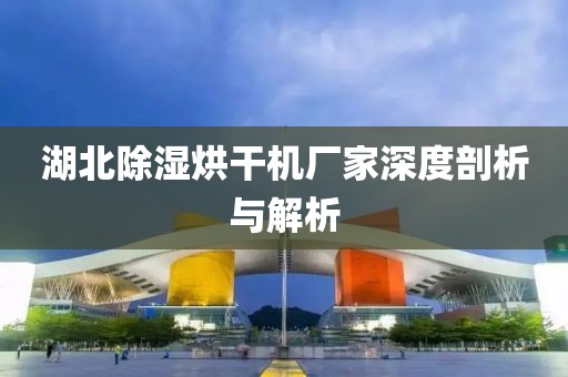 湖北除湿烘干机厂家深度剖析与解析