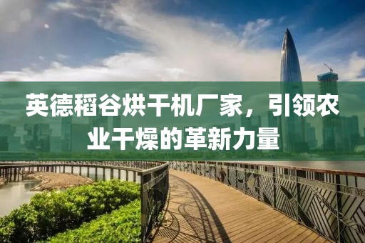 英德稻谷烘干机厂家，引领农业干燥的革新力量