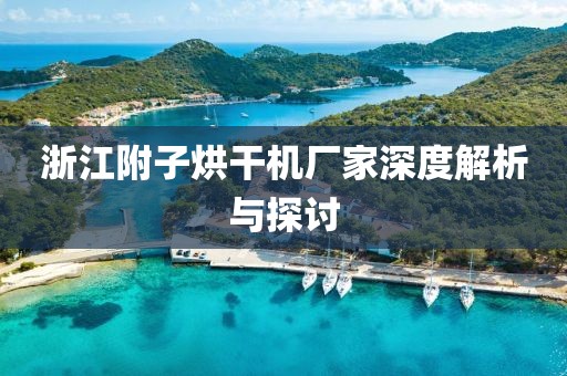 浙江附子烘干机厂家深度解析与探讨