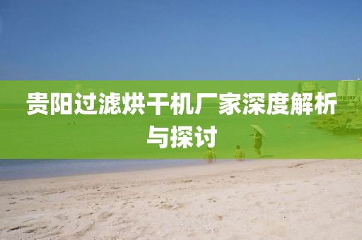 贵阳过滤烘干机厂家深度解析与探讨