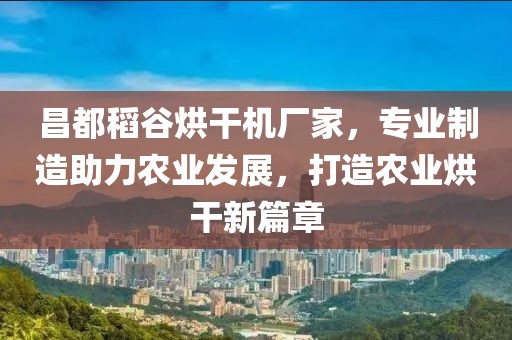 昌都稻谷烘干机厂家，专业制造助力农业发展，打造农业烘干新篇章