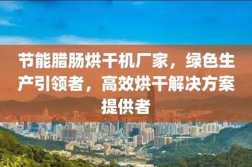 节能腊肠烘干机厂家，绿色生产引领者，高效烘干解决方案提供者