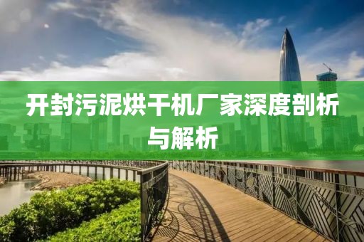 开封污泥烘干机厂家深度剖析与解析