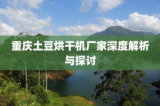 重庆土豆烘干机厂家深度解析与探讨