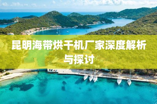 昆明海带烘干机厂家深度解析与探讨