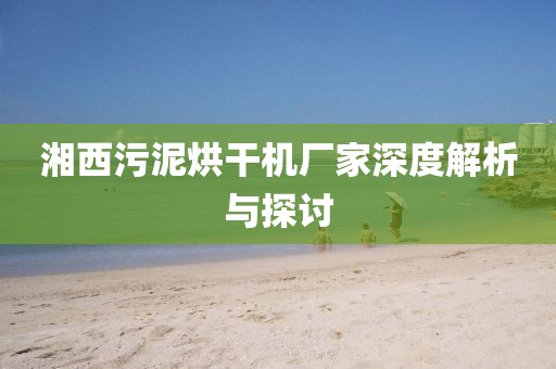 湘西污泥烘干机厂家深度解析与探讨