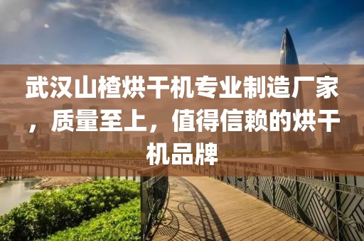 武汉山楂烘干机专业制造厂家，质量至上，值得信赖的烘干机品牌