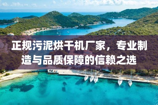 正规污泥烘干机厂家，专业制造与品质保障的信赖之选