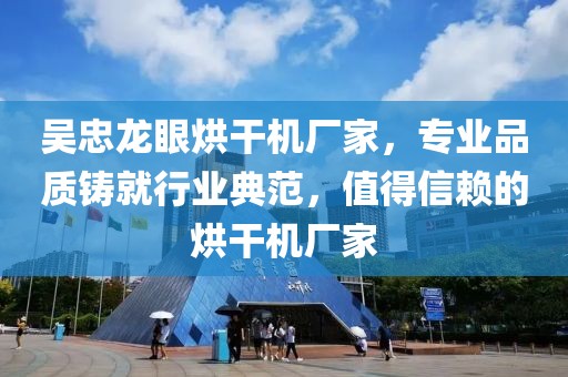 吴忠龙眼烘干机厂家，专业品质铸就行业典范，值得信赖的烘干机厂家