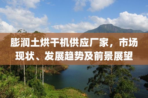 膨润土烘干机供应厂家，市场现状、发展趋势及前景展望