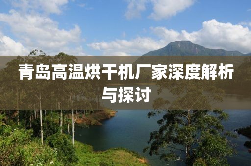 青岛高温烘干机厂家深度解析与探讨