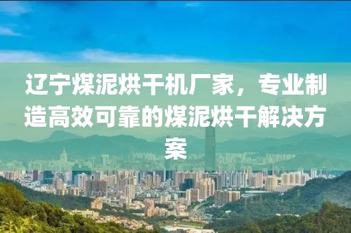 辽宁煤泥烘干机厂家，专业制造高效可靠的煤泥烘干解决方案