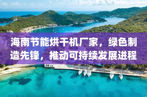 海南节能烘干机厂家，绿色制造先锋，推动可持续发展进程