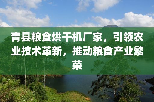 青县粮食烘干机厂家，引领农业技术革新，推动粮食产业繁荣