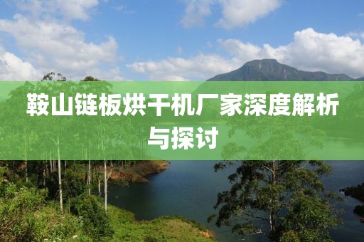 鞍山链板烘干机厂家深度解析与探讨