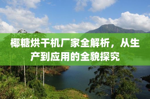 椰糖烘干机厂家全解析，从生产到应用的全貌探究