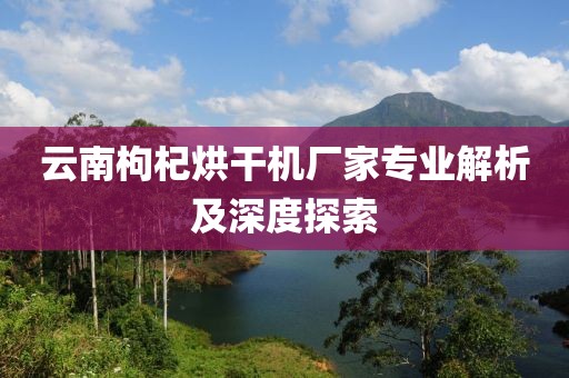 云南枸杞烘干机厂家专业解析及深度探索