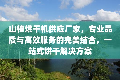 山楂烘干机供应厂家，专业品质与高效服务的完美结合，一站式烘干解决方案